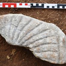 Ранохришћанска базилика у Хотима